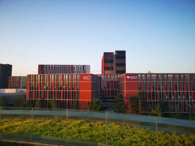 相城区耐用性高765仿古瓦滴水