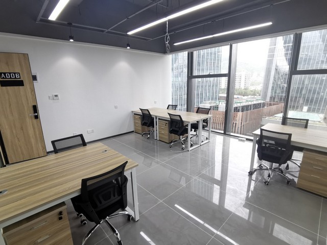 临沂防虫小麦种子招商