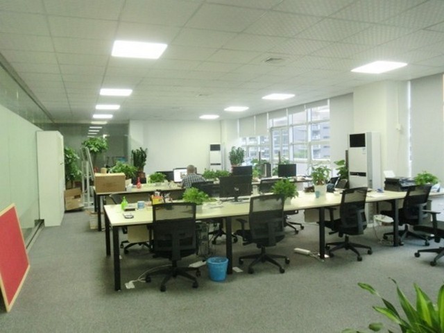 安徽控温搅拌器高性价比