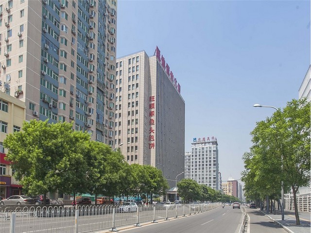 相城区城市藤编树叶